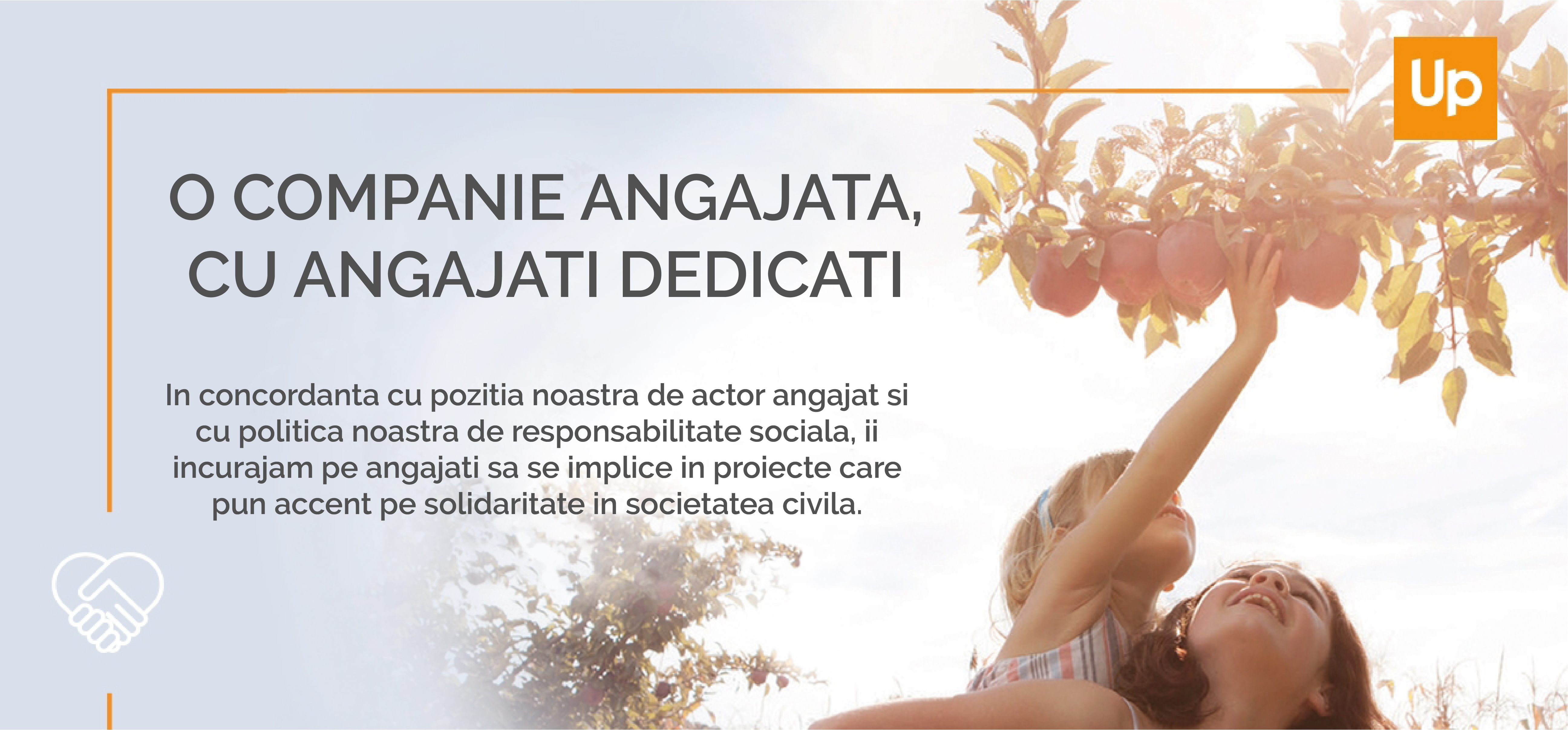 angajati dedicati