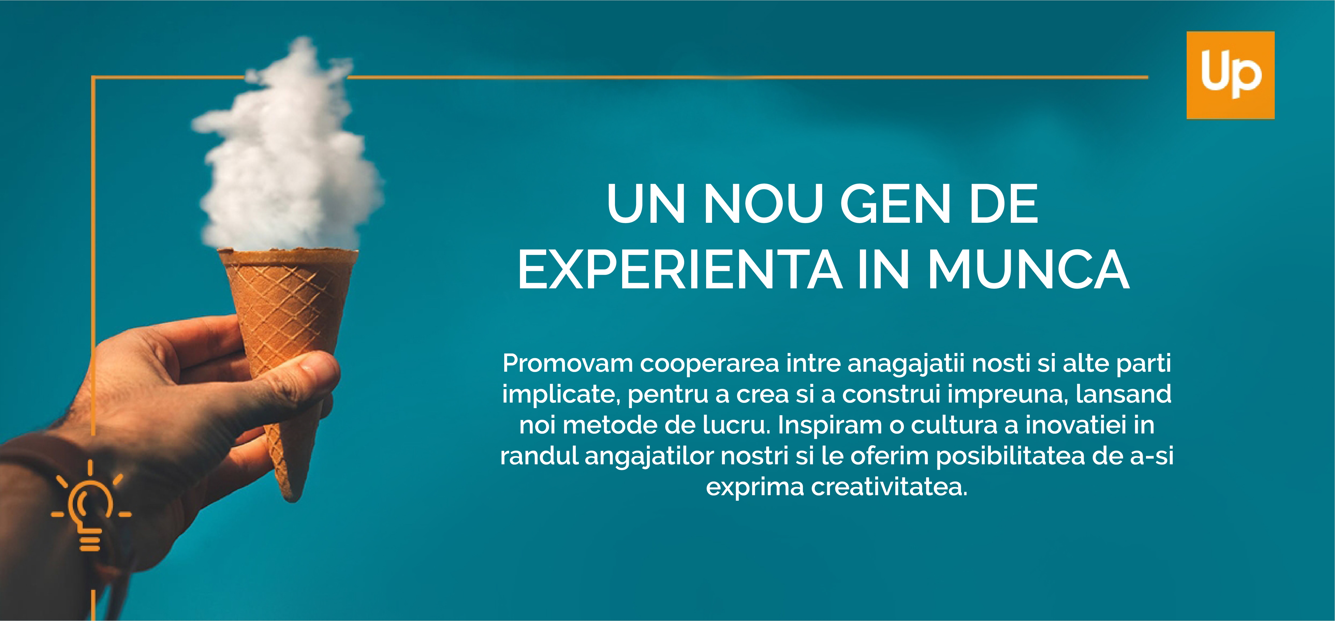 experienta in munca